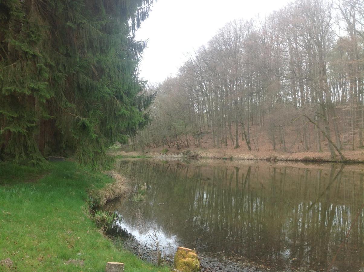 Gite Du Creux De La Goutte Xertigny Exteriör bild